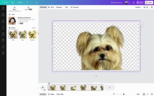 AI Video & Photo Editor APK V2.289.0 Download 2024 2